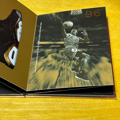 Promotional 2006 Air Jordan “DMP Pack” Booklet