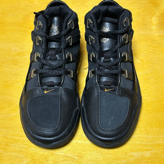Deadstock Sample 2005 LeBron III "Salesman Sample"