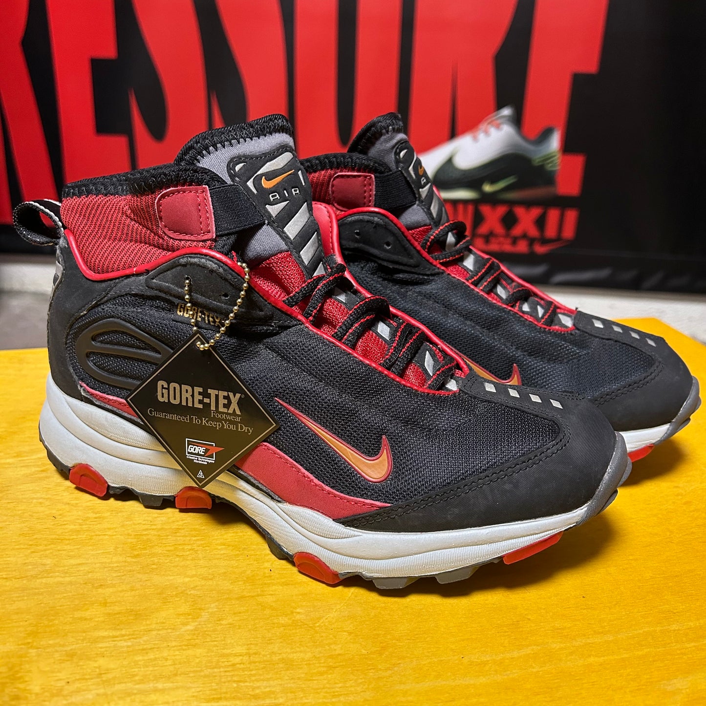DS Brand New 2000 Air Terra Ptarmigan Gore Tex Men's Sneakers ACG