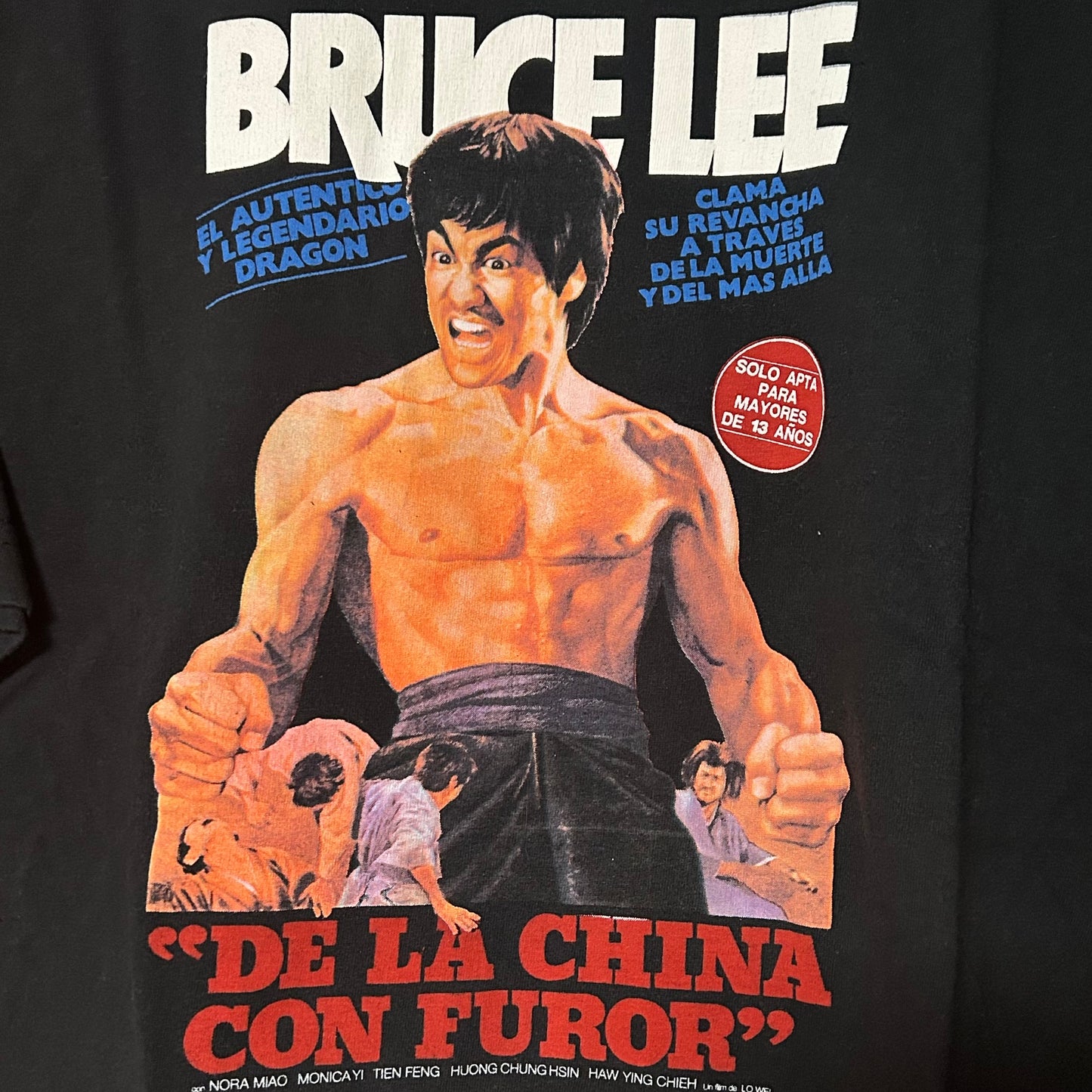 Rare Mid 2000s Brand New SB "Bruce Lee" Tee