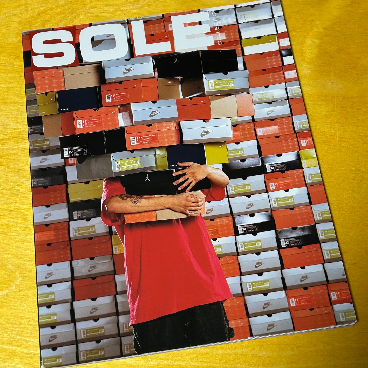 Sole Collector SB Dunk Issue
