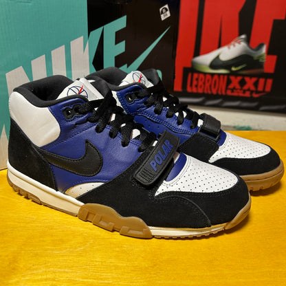 Rare 2019 Polar Skate Co SB Air Trainer 1