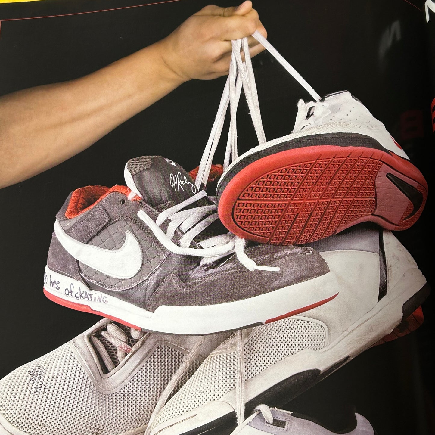 Sole Collector SB Dunk Issue
