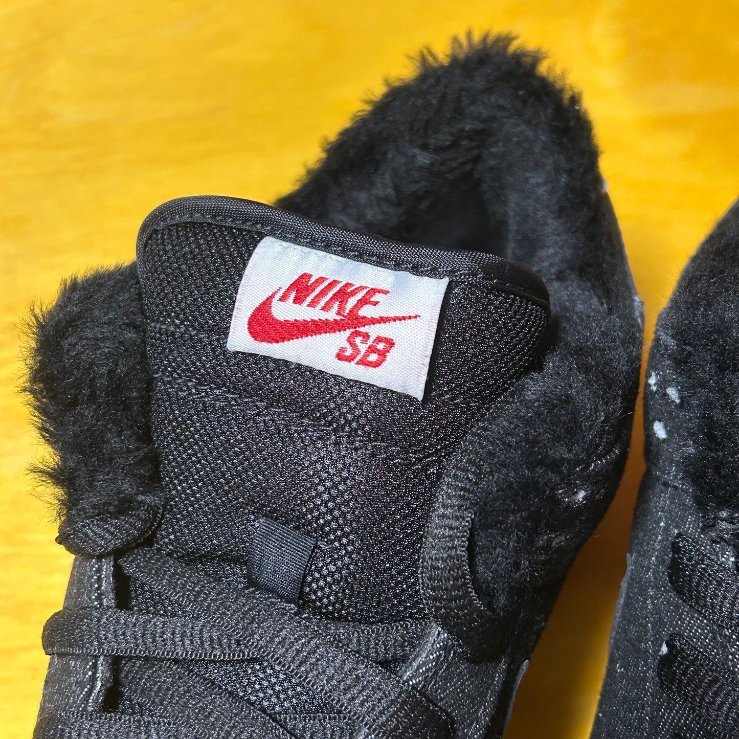 DS Brand New 2010 “Larry Perkins” SB Dunk Low
