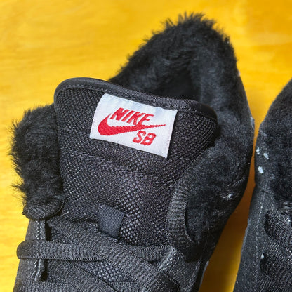 DS Brand New 2010 “Larry Perkins” SB Dunk Low