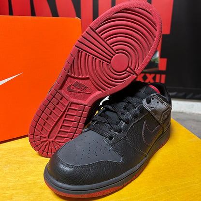 Rare 2008 Dunk Low NYX