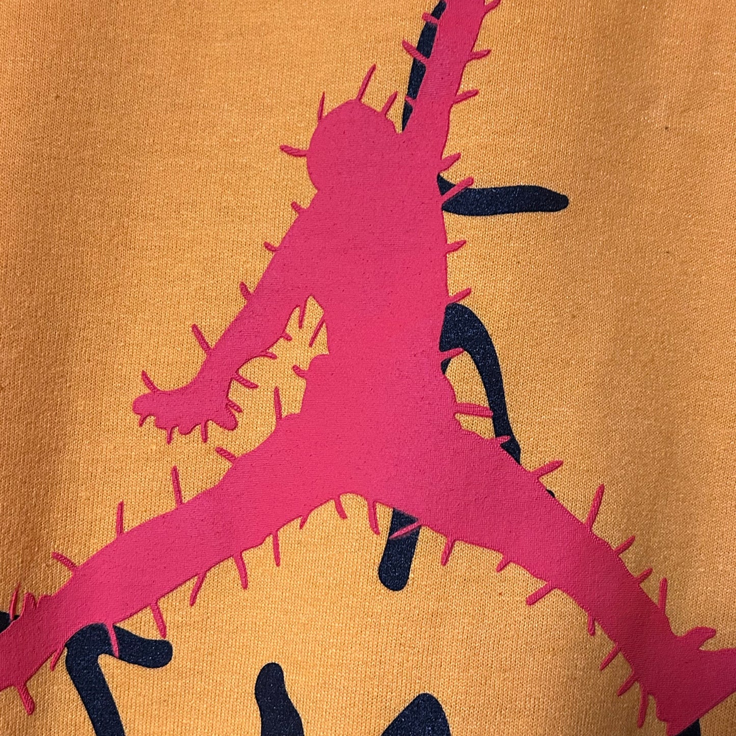 Brand New Jordan Cactus Jack Travis Hoodie