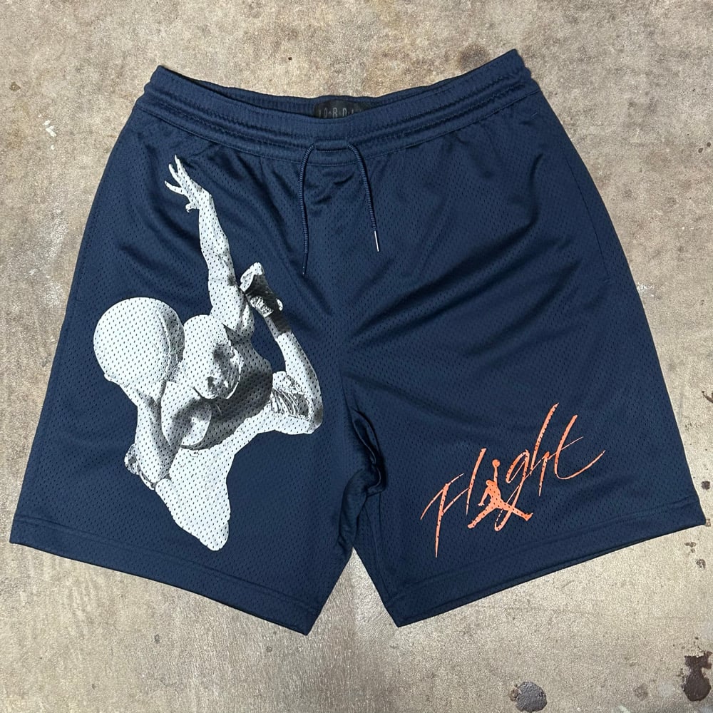Brand New Sample "Flight" Mesh Shorts