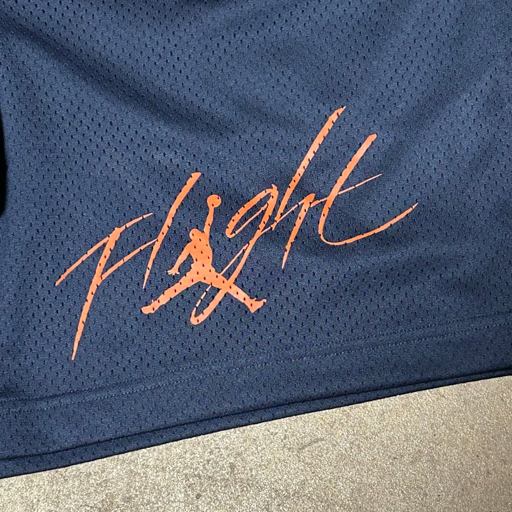 Brand New Sample "Flight" Mesh Shorts
