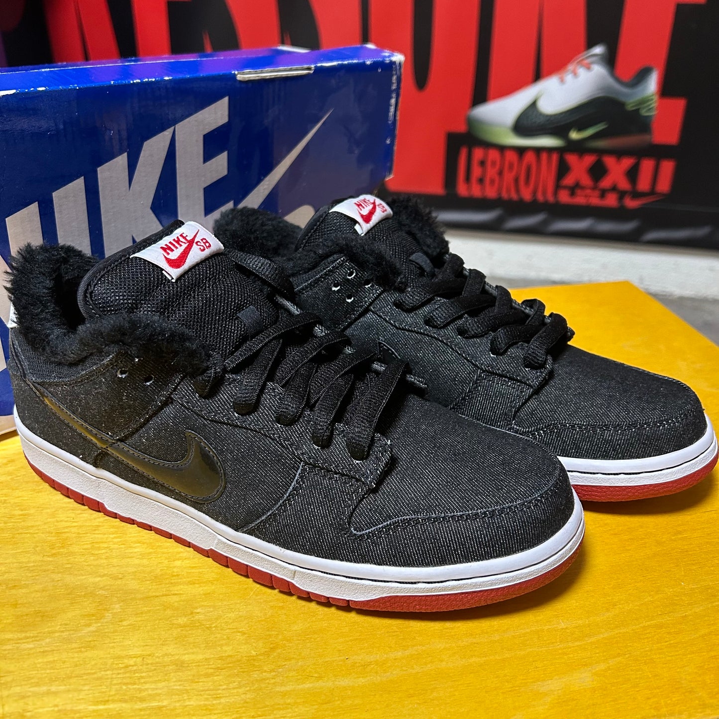 DS Brand New 2010 “Larry Perkins” SB Dunk Low