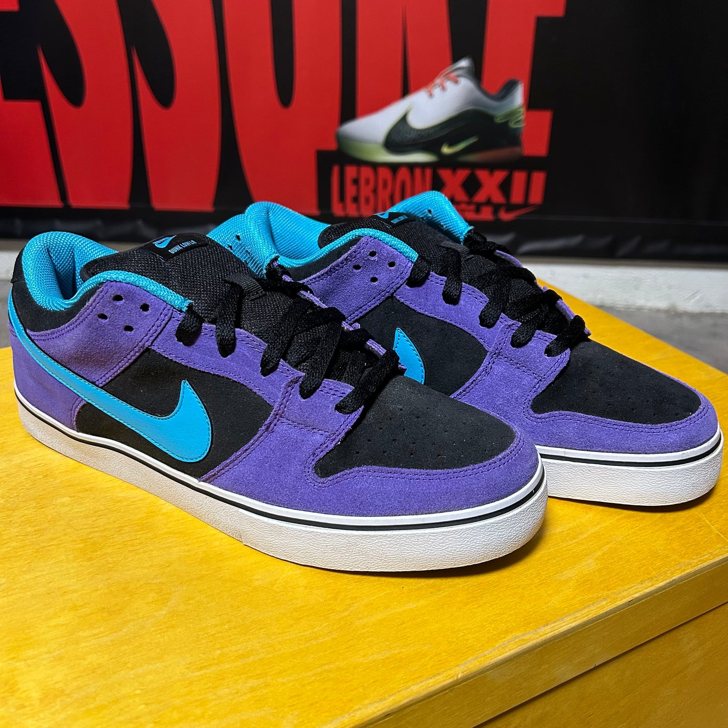 Rare 2012 Dunk Low LR “Reverse Skeletor”