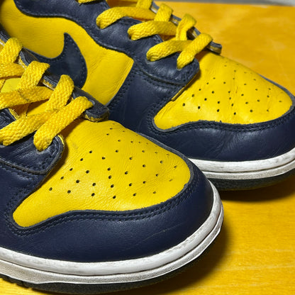 Rare Original 1998 Dunk Hi Michigan LE