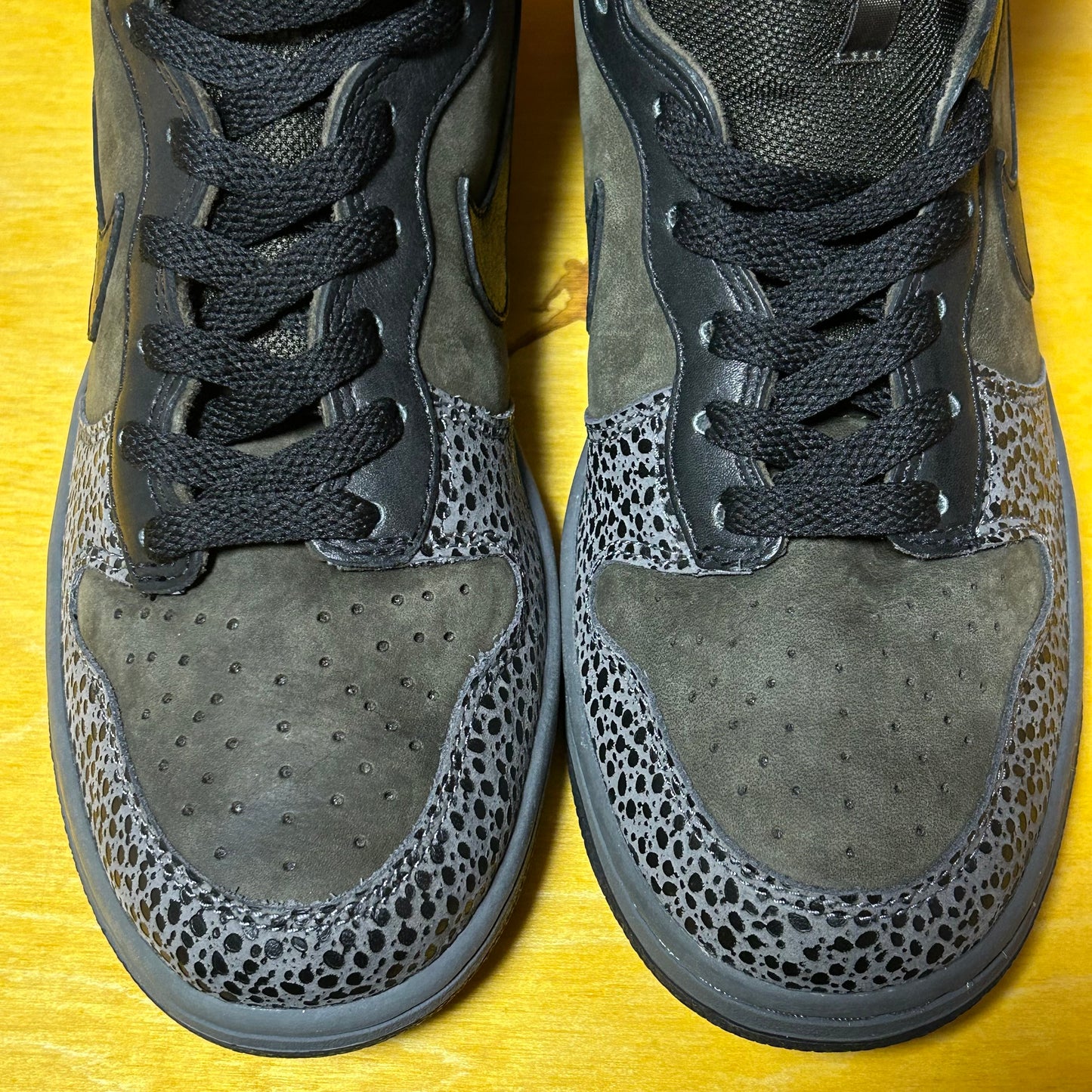 Deadstock Rare 2004 Sample "Safari" Dunk Hi