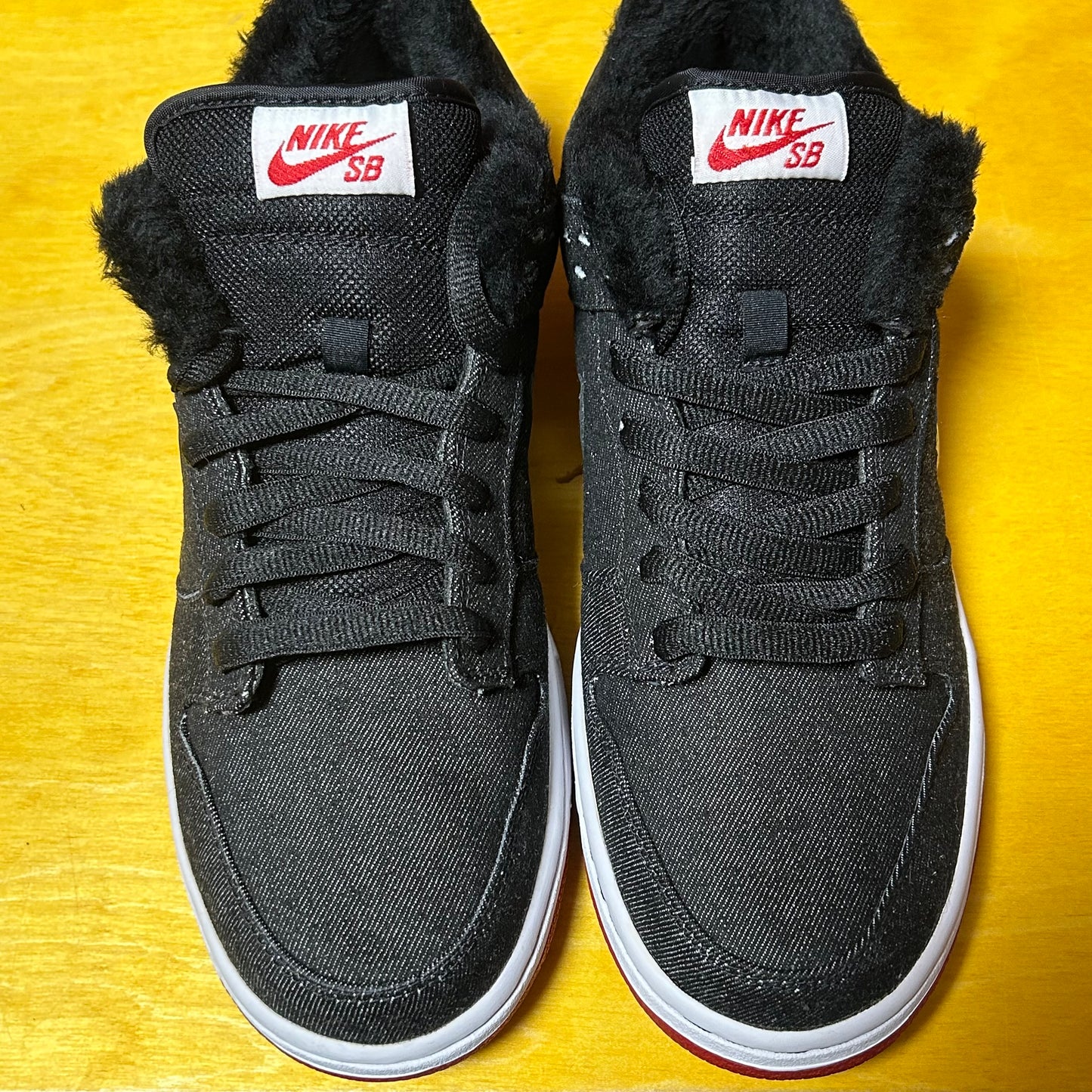 DS Brand New 2010 “Larry Perkins” SB Dunk Low