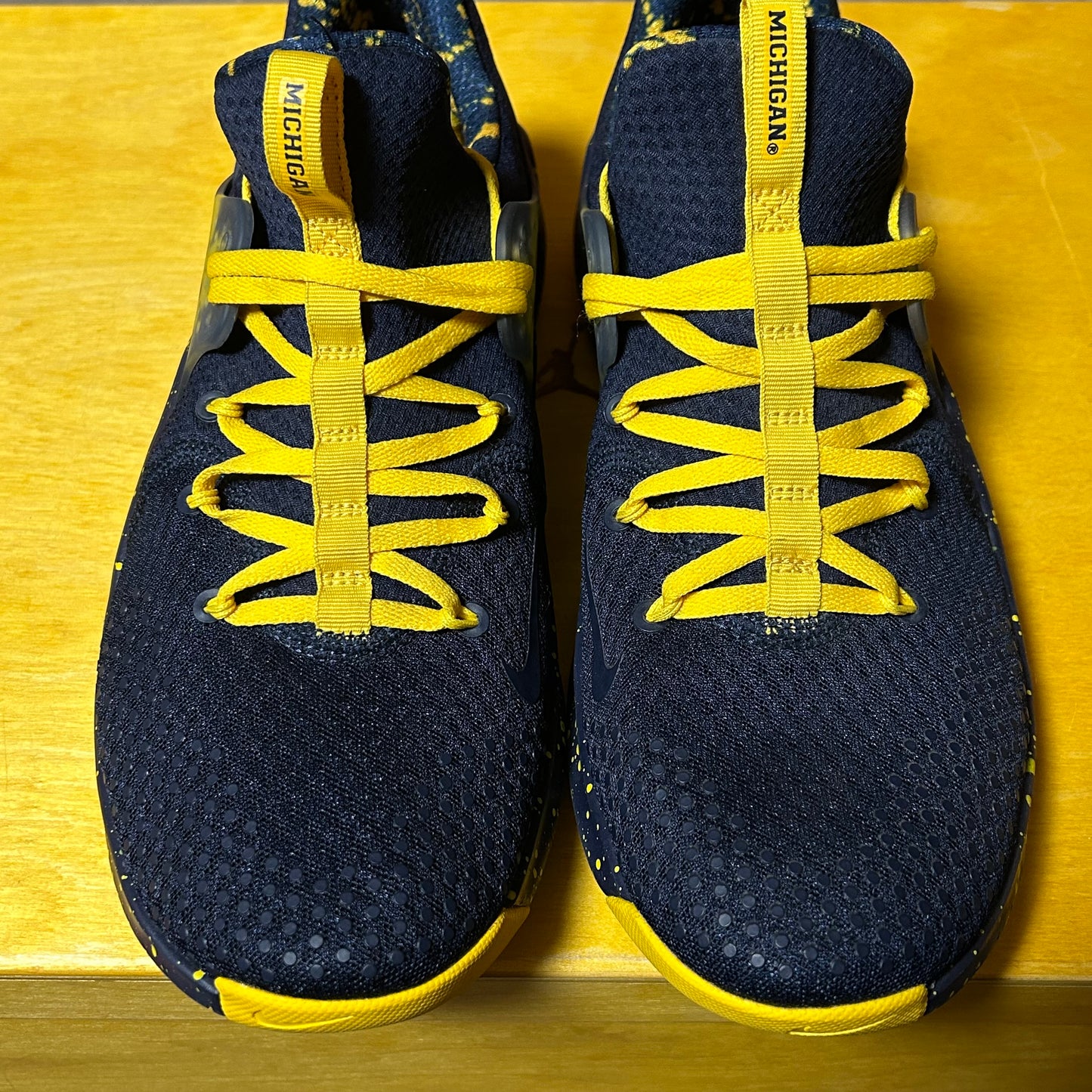 Player Issued Sample Jordan Michigan Trainer PE