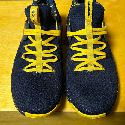 Player Issued Sample Jordan Michigan Trainer PE